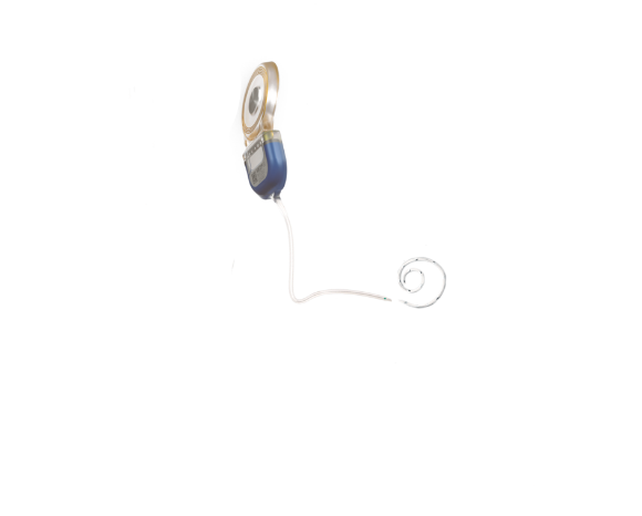 Anatomía del oído SONATA 2