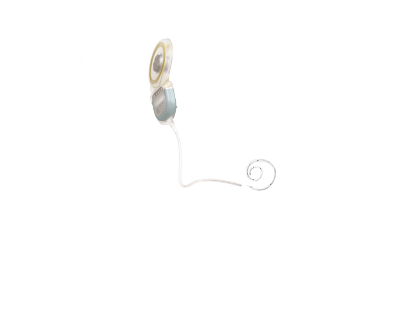 Anatomía del oído SYNCHRONY 2